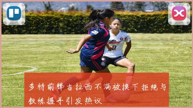 多特前锋吉拉西不满被换下拒绝与教练握手引发热议